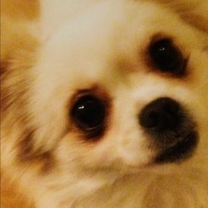 Meet your Posher, Jasmine